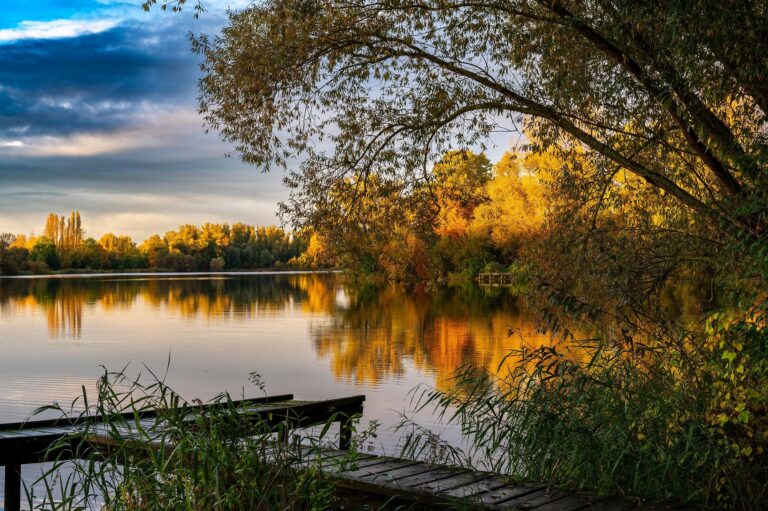 The Impact of Technology and AI